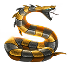 Snake Treasure Chest simgesi