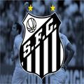 Santos Campeonato Brasileiro