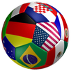 EURO 2016  Simulation Game APK