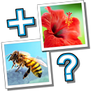 APK MixTwo – Mix 2 Pics 1 Word