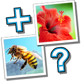 MixTwo – Mix 2 Pics 1 Word biểu tượng