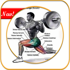 400++ Bodybuilding Muscle Training ikona