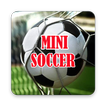 Mini Soccer Indonesia