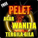 ILMU PELET AGAR WANITA TERGILA - GILA LENGKAP APK