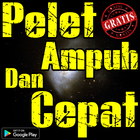 Pelet Ampuh Dan Cepat アイコン