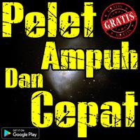 Pelet Ampuh Dan Cepat ポスター