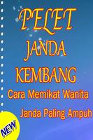 Pelet Janda Kembang постер