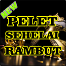 Ilmu Pelet Media Rambut Tanpa Puasa APK