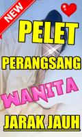 برنامه‌نما AMALAN PELET PERANGSANG WANITA AMPUH عکس از صفحه