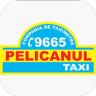 Taxi Pelicanul ikon