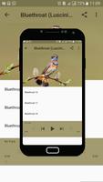 Bluethroat Bird Chirping Sounds capture d'écran 3