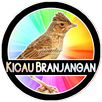 Kicau Branjangan Master HQ APK