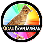 Kicau Branjangan Master HQ icono