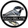 Kicau Gelatik