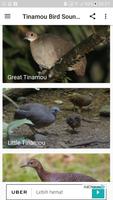 Tinamou bird sounds captura de pantalla 1