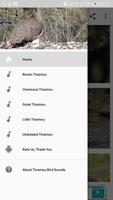 Tinamou bird sounds captura de pantalla 2