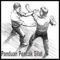 Panduan pencak silat