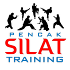 Silat Training icône