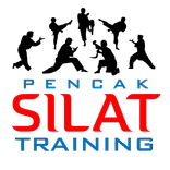 Silat Training
