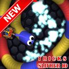 New Tips and Tricks Slither io-icoon