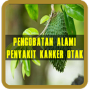 Ramuan Alami Penyakit Kanker Otak-APK