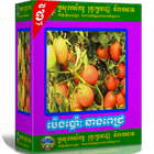 បច្ចេកទេសដាំដំណាំប៉េងប៉ោៈនាងពេជ្រ icône