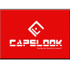 Capslook icône