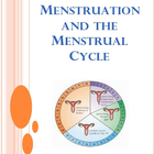 MENSTRUATION CYCLE icône