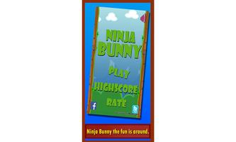 Ninja Bunny Affiche