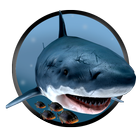 Piranha Shark Attacks icône