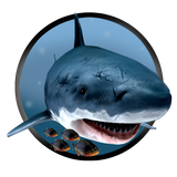 Piranha Shark Attacks simgesi