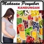 Makanan Penyubur Kandungan