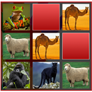 Animals APK