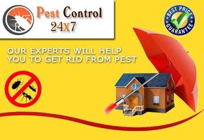 Pest Control 24x7 الملصق