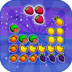 Fruit Splash Blocks Puzzle icon