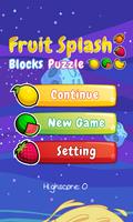 Fruit Splash Blocks Puzzle poster