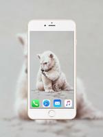 Baby Polar Bear Wallpaper captura de pantalla 2