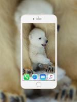Baby Polar Bear Wallpaper captura de pantalla 3