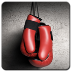 Boxing Wallpaper أيقونة