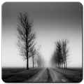 Black and White Wallpaper HD