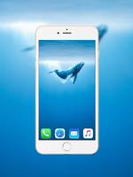 Poster Blue Whale Wallpaper