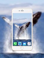 Blue Whale Wallpaper تصوير الشاشة 3