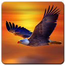 Eagle Wallpaper HD-APK