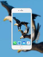 Eagle Wallpaper HD ภาพหน้าจอ 1