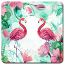 Flamingo Wallpaper HD-APK