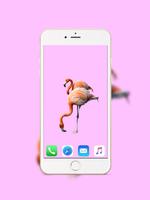 Flamingo Wallpaper पोस्टर