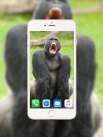 Gorilla Wallpaper Affiche