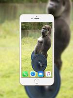 Gorilla Wallpaper تصوير الشاشة 3