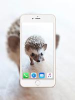 Hedgehog Wallpaper ảnh chụp màn hình 3