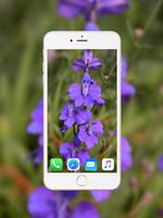 Iris Flower Wallpaper HD Screenshot 1